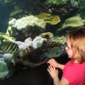 Coral Reef